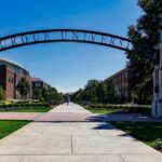 Schools university