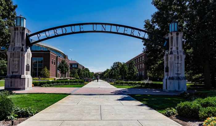 Schools university
