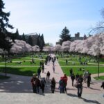 University schools