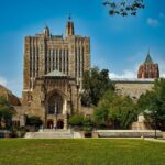 Schools & universities